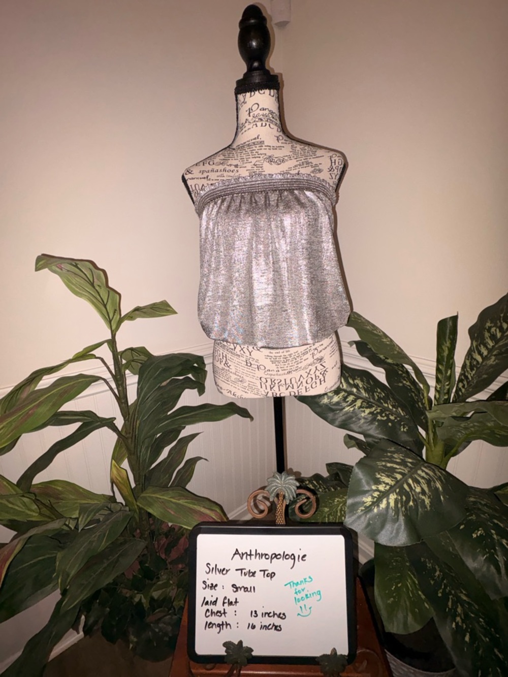 Anthropologie Silver Tube Top